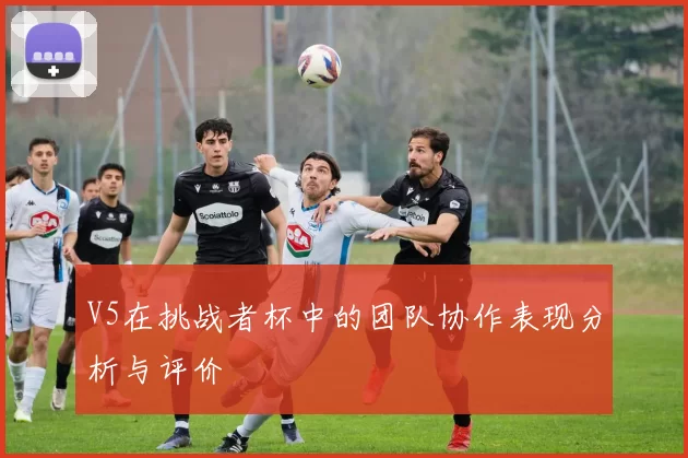 V5在挑战者杯中的团队协作表现分析与评价