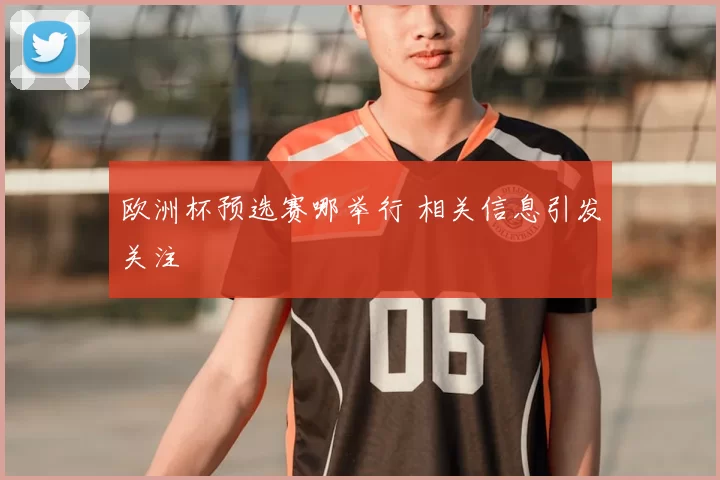欧洲杯预选赛哪举行 相关信息引发关注