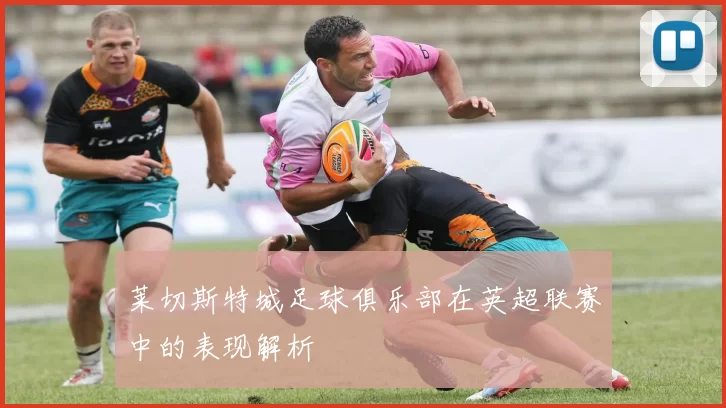 莱切斯特城足球俱乐部在英超联赛中的表现解析