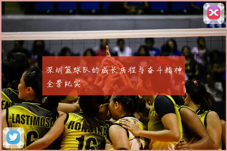 深圳篮球队的成长历程与奋斗精神全景纪实