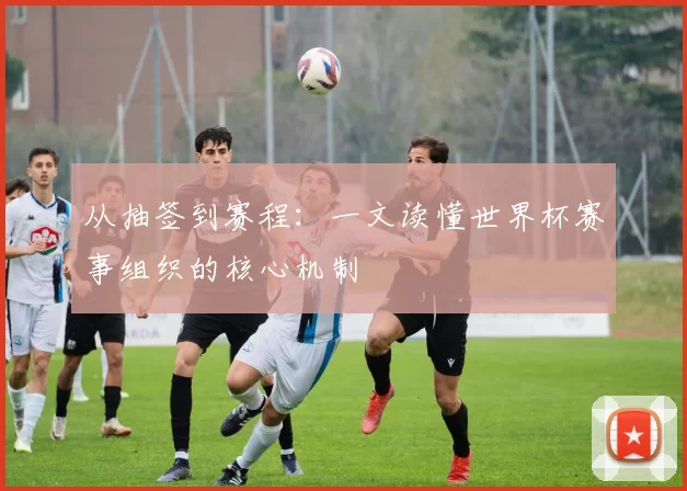 从抽签到赛程：一文读懂世界杯赛事组织的核心机制