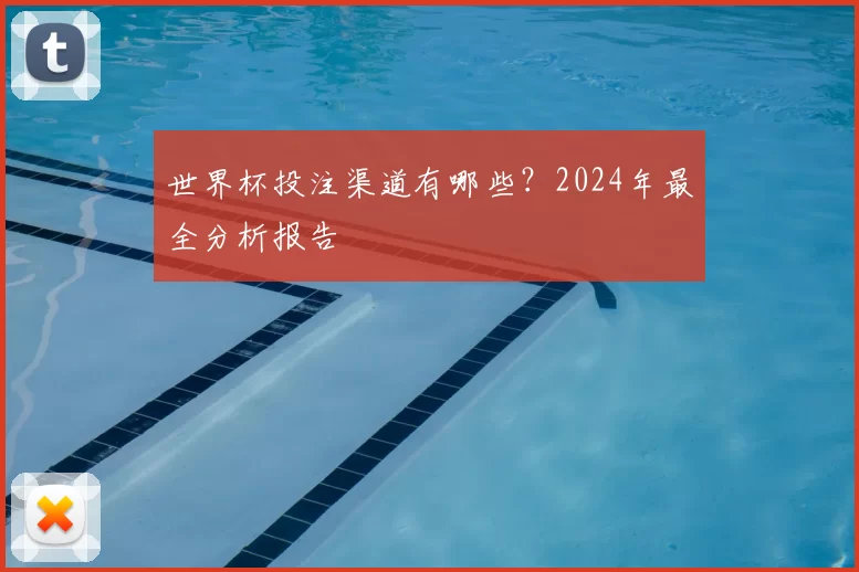 世界杯投注渠道有哪些？2024年最全分析报告