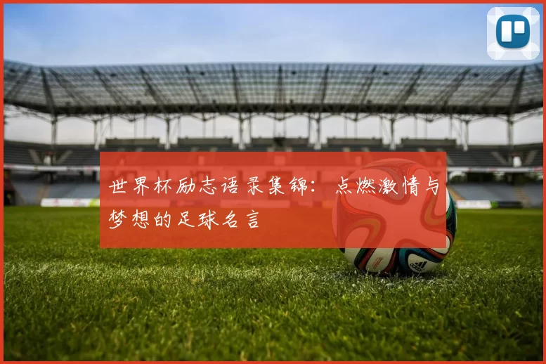 世界杯励志语录集锦:点燃激情与梦想的足球名言