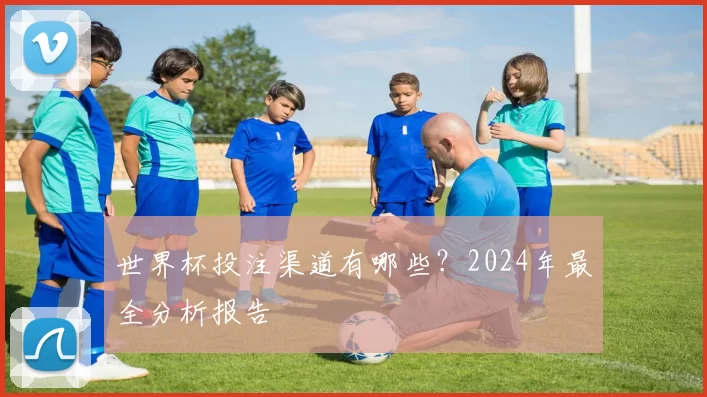 世界杯投注渠道有哪些？2024年最全分析报告