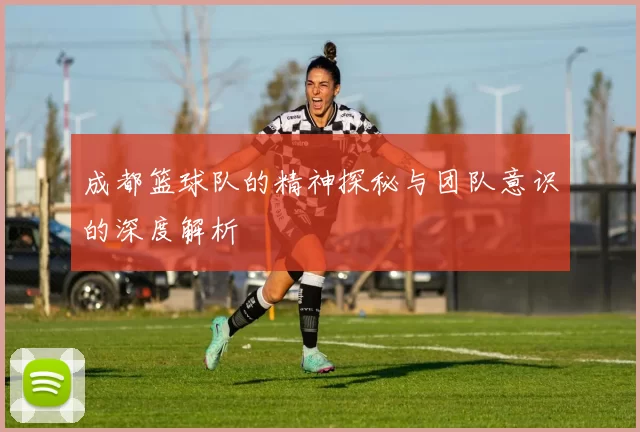 成都篮球队的精神探秘与团队意识的深度解析