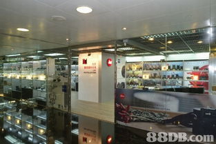 全方位摄影服务指南 从婚纱到家庭，捕捉每个珍贵瞬间